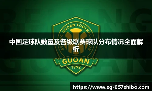 中国足球队数量及各级联赛球队分布情况全面解析