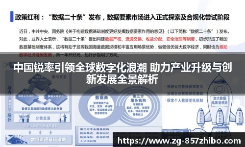 中国锐率引领全球数字化浪潮 助力产业升级与创新发展全景解析