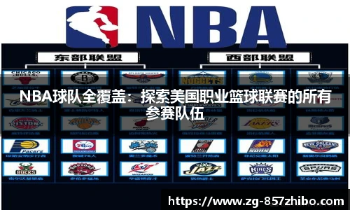 NBA球队全覆盖：探索美国职业篮球联赛的所有参赛队伍