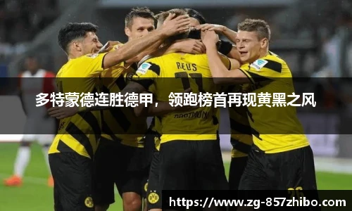 多特蒙德连胜德甲，领跑榜首再现黄黑之风