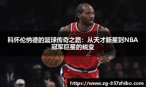 857体育直播