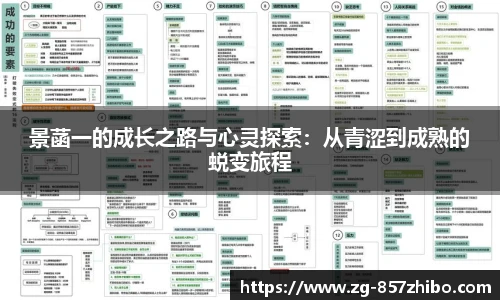 857体育直播间